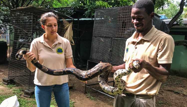 Snake Education