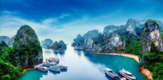 Halong Bay, Hạ Long Bay, Vietnam,limestone, Rainforests, Island,