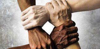 Hands, Human Rights, Hands, Group, Society, People