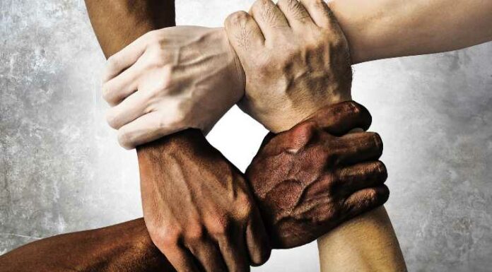 Hands, Human Rights, Hands, Group, Society, People