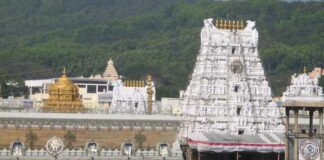 Sri Venkateswara Swamy Vaari Temple, Venkateswara Temple, Tirumala, Andhra Pradesh