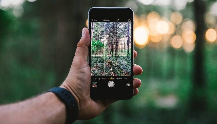 Clicking Photo, Iphone, Phone, Holding, Right Way, Forest