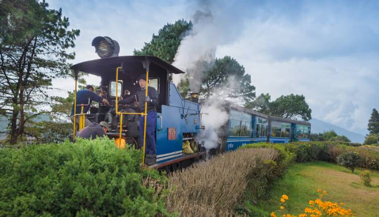 Toy Train Darjeeling, Darjeeling Himalayan Railway