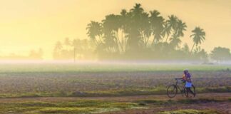 Village, Rural India, Cycle, Road, Farm