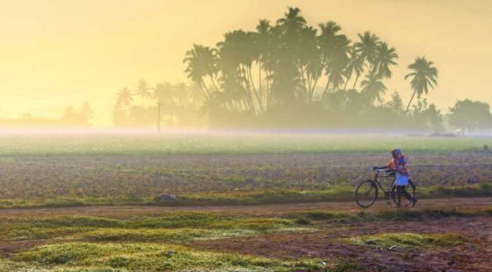 Village, Rural India, Cycle, Road, Farm