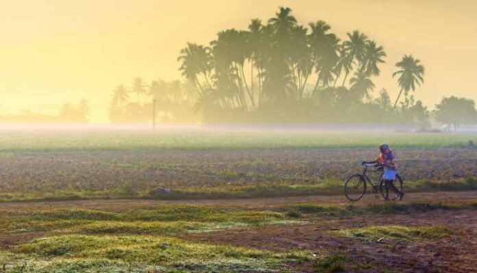 Village, Rural India, Cycle, Road, Farm