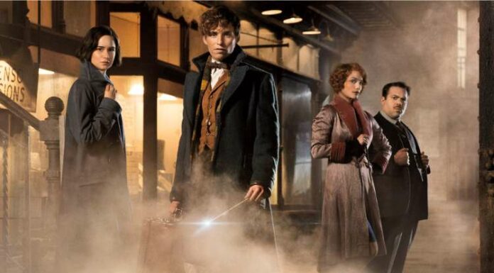 Extending To Fantastic Beasts Scene, Book, Movies, Series, Web Series