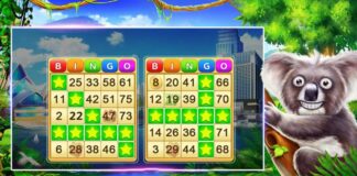 Top Rated Bingo Games For Android