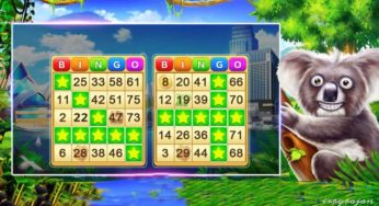The Best Top rated Bingo Games for Android