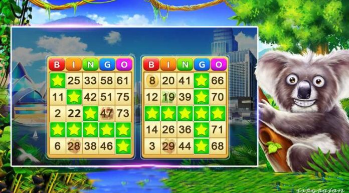 Top Rated Bingo Games For Android