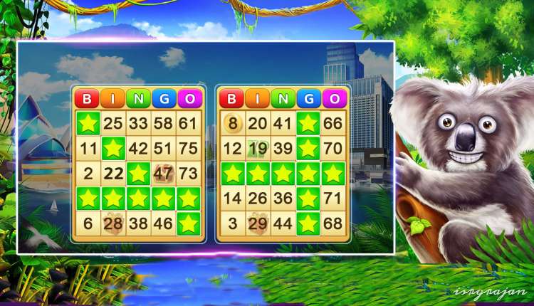 Top Rated Bingo Games For Android