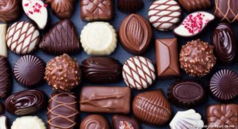 Will Chocolate be Extinct? Are there any Alternatives? Everything You Need to Know