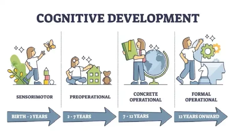 Process Of Congnitive Development