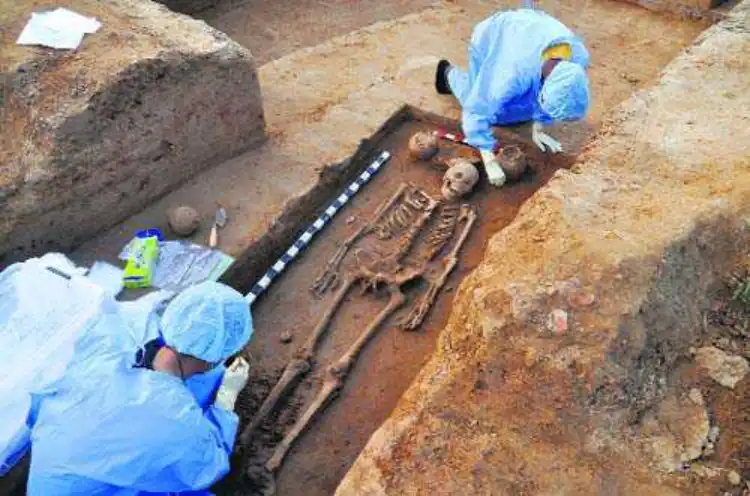 Archaeology Indus Valley Civilization