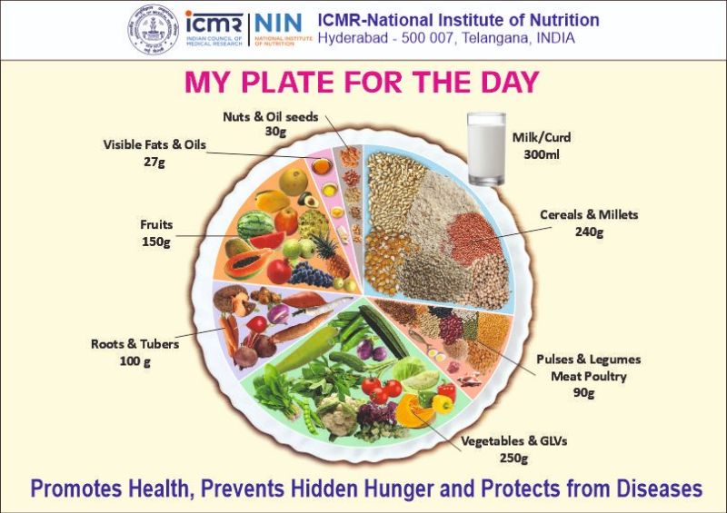 Balanced-diet Plate