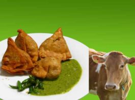 Beef Filled Samosas Scandal