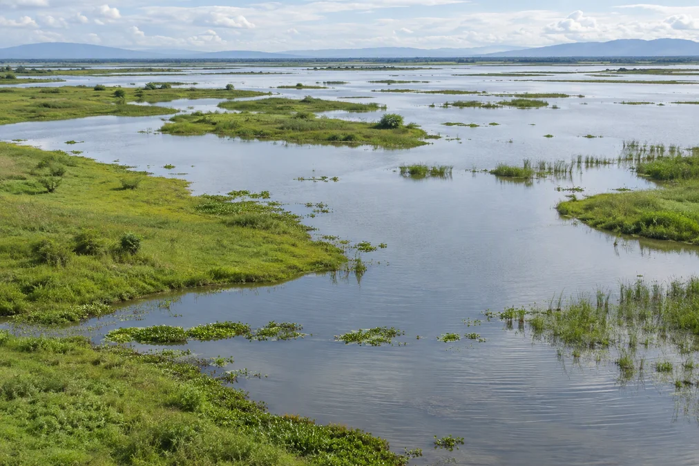 Wetlands in Assam's Brahmaputra River system are the focus of a restoration programme aimed at improving floodwater storage.
